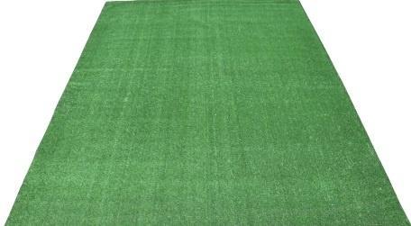 Rental store for Astro Turf, Green  Per Sqft in Chicago IL